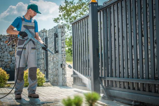 Best Historic Building Restoration  in Marissa, IL