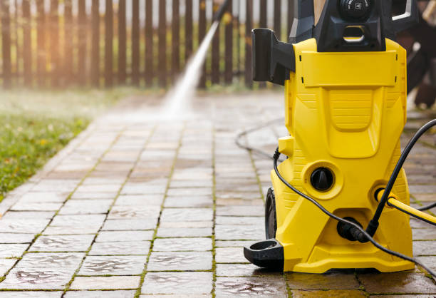 Best Soft Washing  in Marissa, IL
