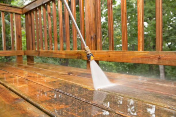 Best Dumpster Area Cleaning  in Marissa, IL